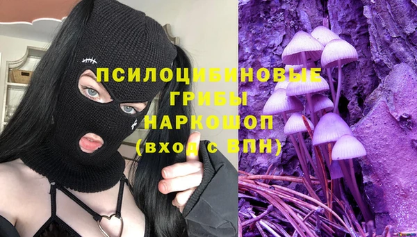 mdpv Арсеньев