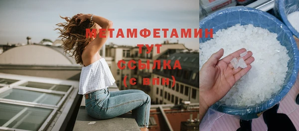 прущие грибы Рославль